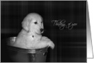Thinking of you golden retriever in old washtub card