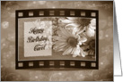 Birthday for Carol-daisies in sepia film strip card