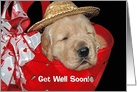 Get Well Soon golden retriever with hat in red basket card