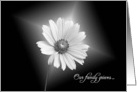 Sympathy-glowing white daisy on black card