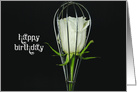 white rose in wire whisk isolated on black card