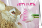 Easter, bunny smelling pink tulip card