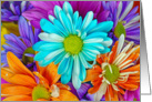 Birthday-close up of colorful daisy bouquet card