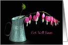 Get Well Soon pink bleeding hearts in old metal pitcher on black card