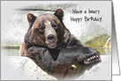 Birthday smiling bear in water card