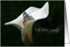deepest sympathy with butterfly in white calla lily card