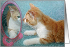 Humorous Birthday tabby cat looking in mirror card
