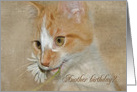 gold tabby cat with daisy in mouth for funny birthday card