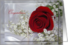 red rose and pearls for wedding congratulations card