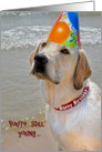 Labrador Retriever with birthday party hat card