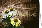 Birthday, cone flowers with old wooden bushel basket card