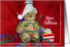 Christmas lights with teddy bear and gifts card