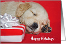 Happy Holidays golden retriever puppy with Christmas gift on red card