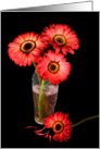 Birthday- gerbera daisy bouquet on black card
