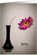 Belated Birthday drooping daisy in black vase card