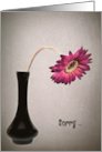 Belated Birthday drooping daisy in black vase card