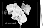 Sympathy White Orchid Blossoms on Black card