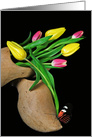 Birthday for Friend tulips in Dutch wooden shoe with butterfly card