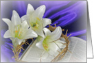 Easter lilies with crown of thorns on open Holy Bible card