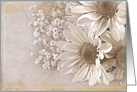 daisy bouquet with textured old-fashioned sepia overlay card