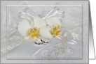 Wedding congratulations-white orchids with wedding ring on pillow card