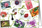 Birthday floral stamp collection collage card