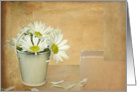 Blank Card-daisies in pail on patchwork textured background card