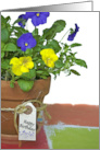 Birthday pansies in a clay pot with birthday tag card