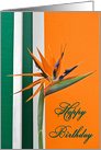 Birthday, Bird of Paradise on orange and green background card