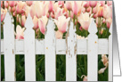 Happy Birthday Dutch pink tulips with white picket fence card