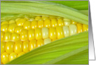 Close Up of Corn On The Cob In Husk card