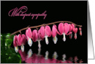 Deepest Sympathy bleeding hearts with water reflection card