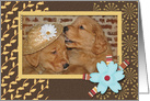 Anniversary for couple, pair of golden retriever puppies card