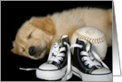 birthday for kid-golden retriever pup with sneakers and softball card
