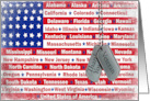 Veterans Day Thank You Text on Military Dog Tags card