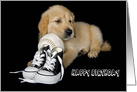 sports birthday Golden Retriever puppy with sneakers and baseball card