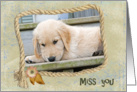 Miss You-sad golden retriever puppy on wood steps with rope frame card