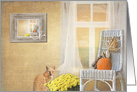 Thinking of You tabby cat with autumn pumpkins and mum plant card
