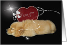 Valentine’s Day golden retriever puppy with red heart card