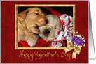 Valentine’s Day golden retriever puppies in a red basket card