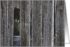 Hello, close up of cat eye peeking through old barn wood siding card