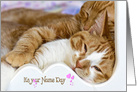 Name Day tabby cats snuggling in white wood frame card