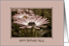 Niece’s Birthday-daisy in a frame card