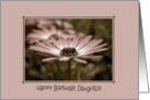 Daughter’s Birthday-close up of a daisy in frame card