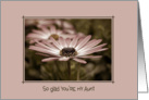 Aunt’s birthday-pink daisy in frame card