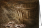 sympathy-sunbeams on daisy with old bushel basket card