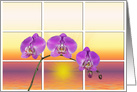 pink orchid with sunrise window card