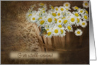 Get Well Soon with butterfly on daisies in basket card