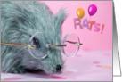 belated birthday-gray rat with spectacles card