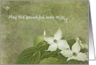 Sympathy dogwood with glowing candle on textured green background card